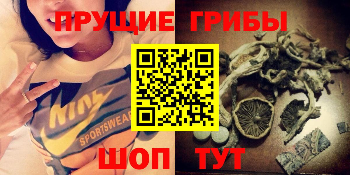 Псилоцибиновые грибы Cubensis Алатырь